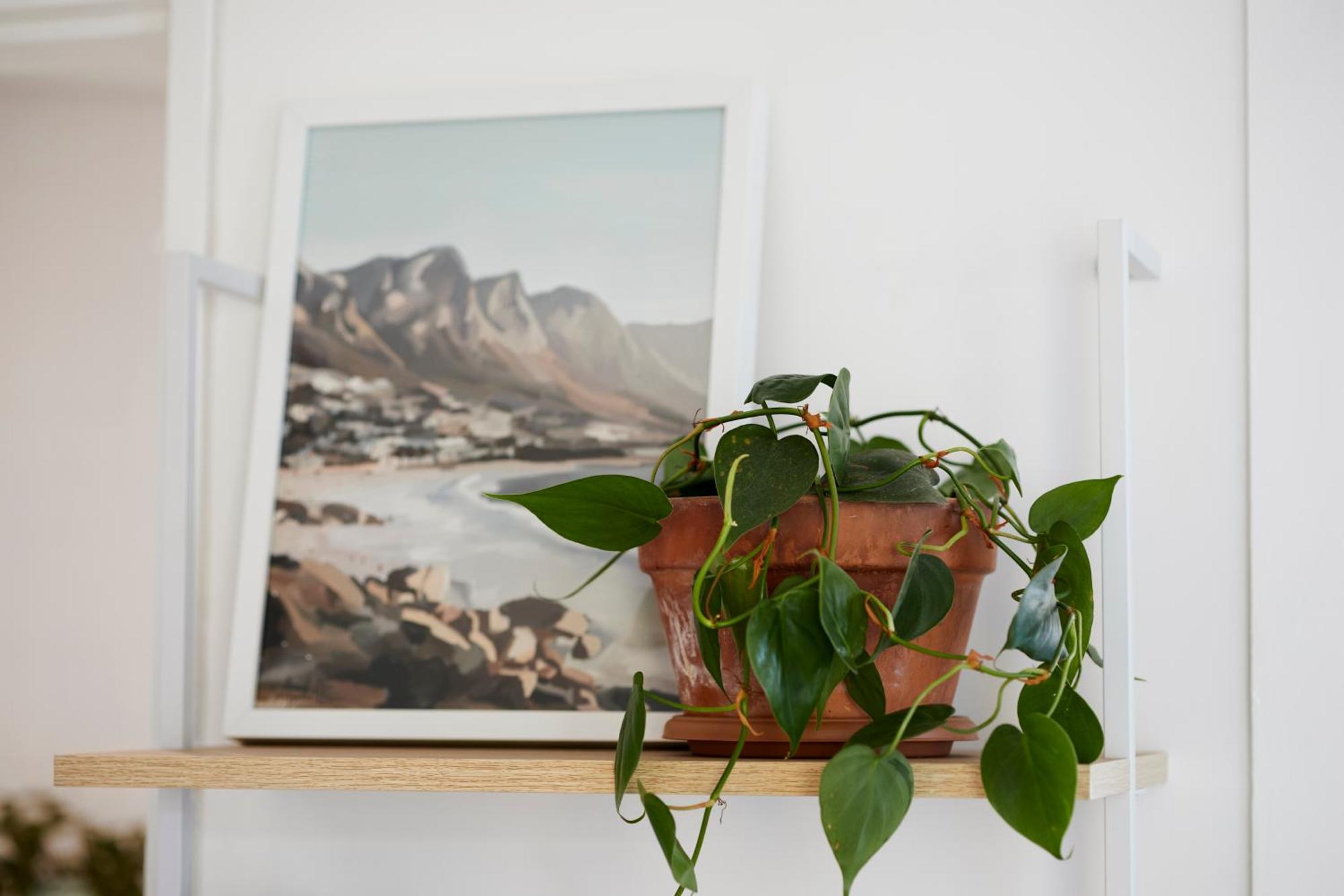 Apartamento Style With Striking Views Cidade Do Cabo